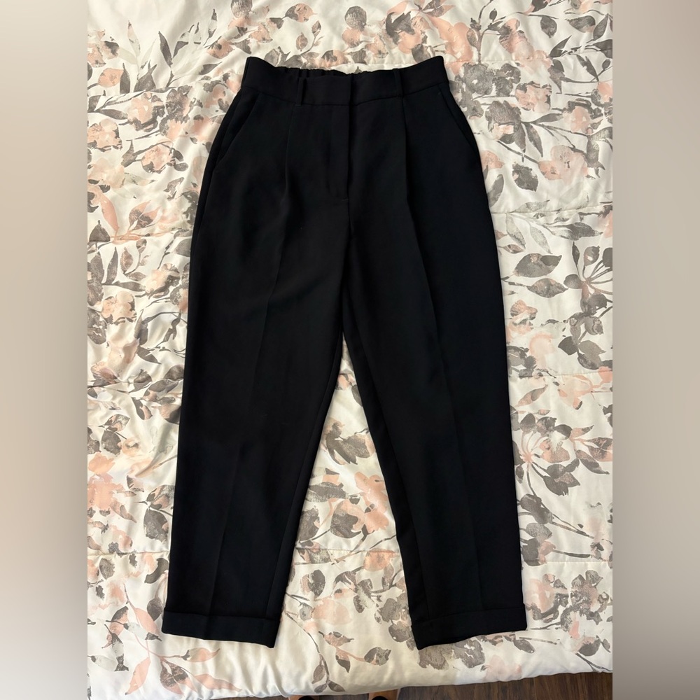 Aritzia Wilfred dashwood pants